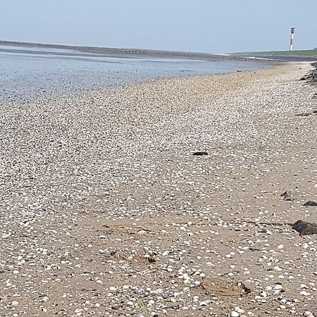 Haus Am Meer Eckwarden بوتجادينغين المظهر الخارجي الصورة